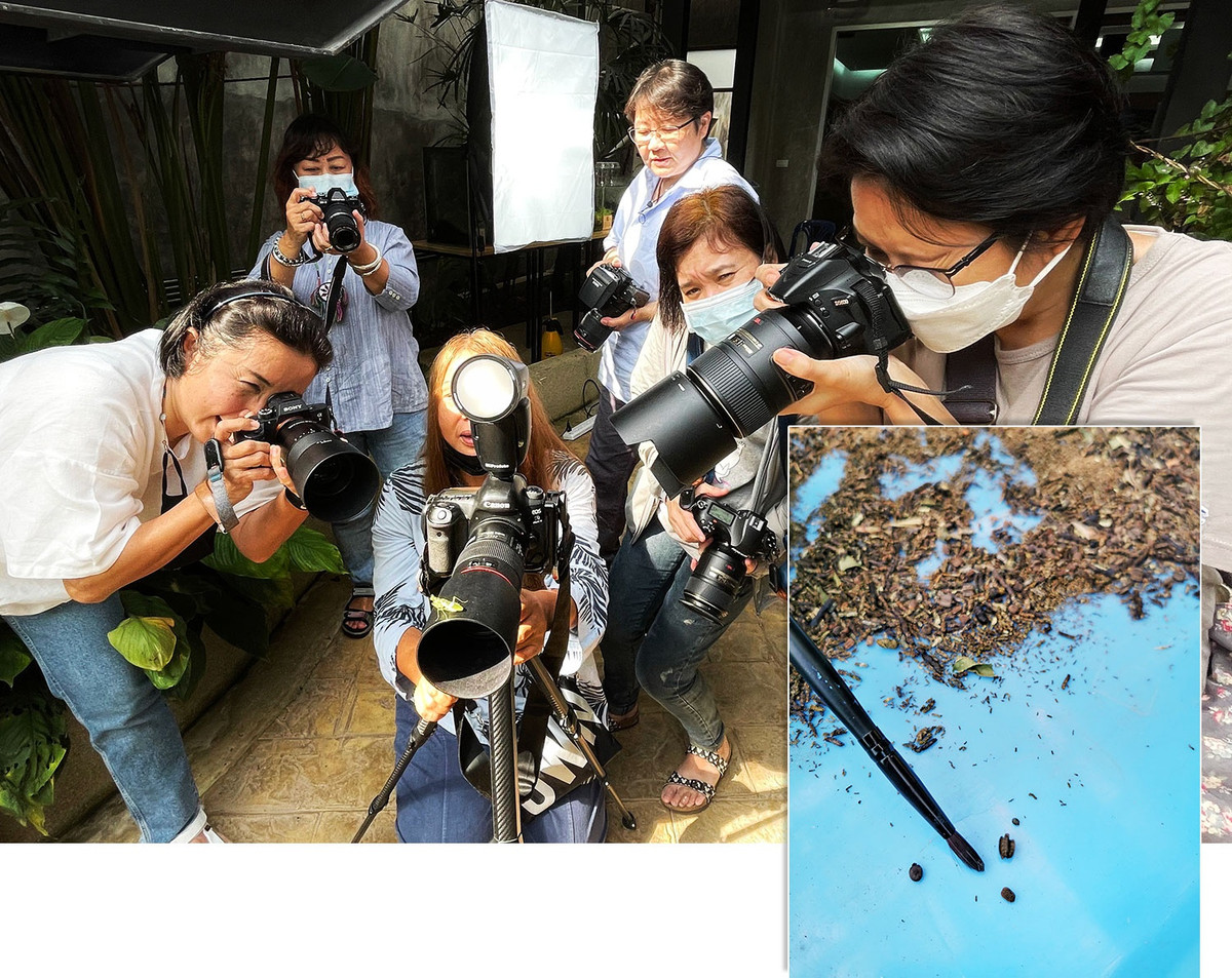 Cơ sở này cũng thường tổ chức các buổi chụp ảnh sinh học vào thứ 6. Số lượng người tham gia giới hạn ở con số 8. Họ sẽ được tìm hiểu thói quen của từng loài và chỉ dẫn thêm về cách chụp ảnh cận cảnh mà không gây hại đến con vật.