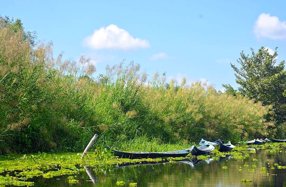 Vườn quốc gia U Minh Thượng cách thành phố Rạch Giá hơn 60 km. Đây là kiểu rừng đặc thù, hạng quý hiếm trên thế giới, được ASEAN công nhận là Vườn di sản Đông Nam Á. Đường vào rừng rợp bóng cây mát mẻ, mang đặc trưng của miền Tây. Đây là khu rừng nguyên sinh đặc biệt, ngập nước nên du khách tham quan bằng thuyền. Ảnh: Okiasamsam.
