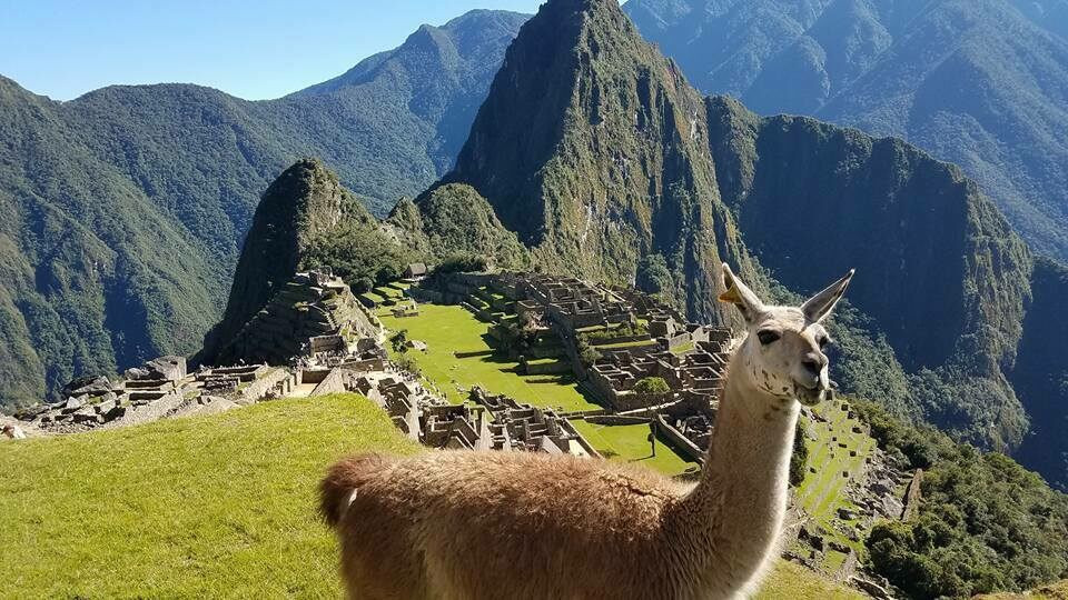 Thành phố cổ Machu Picchu rộng khoảng 5 km2, được chia thành 3 khu vực: Khu vực linh thiêng, khu vực dân chúng, khu của các thầy tu và tầng lớp quý tộc (khu hoàng gia), với 140 công trình kiến trúc như đền đài, nhà thờ, công viên, nhà ở và cả nhà tù.
