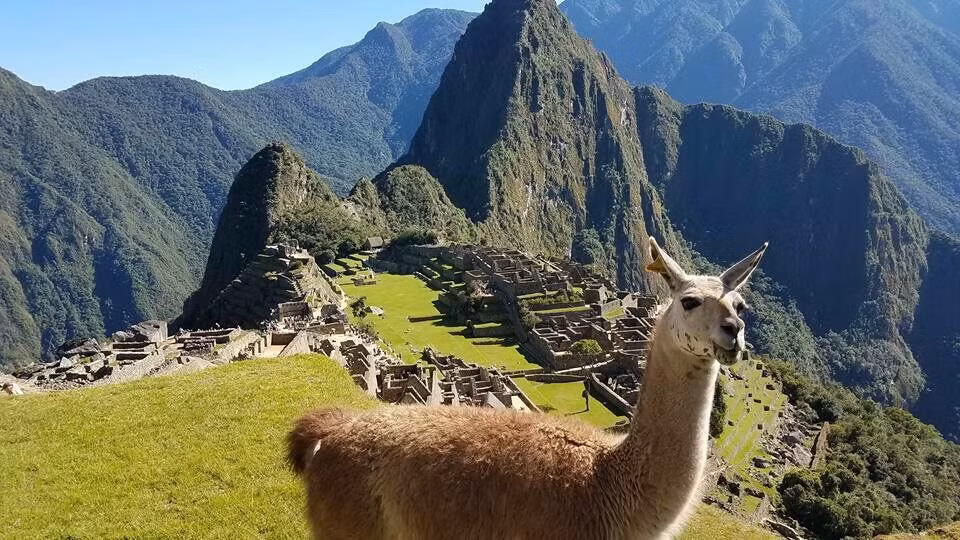 Thành phố cổ Machu Picchu rộng khoảng 5 km2, được chia thành 3 khu vực: Khu vực linh thiêng, khu vực dân chúng, khu của các thầy tu và tầng lớp quý tộc (khu hoàng gia), với 140 công trình kiến trúc như đền đài, nhà thờ, công viên, nhà ở và cả nhà tù.