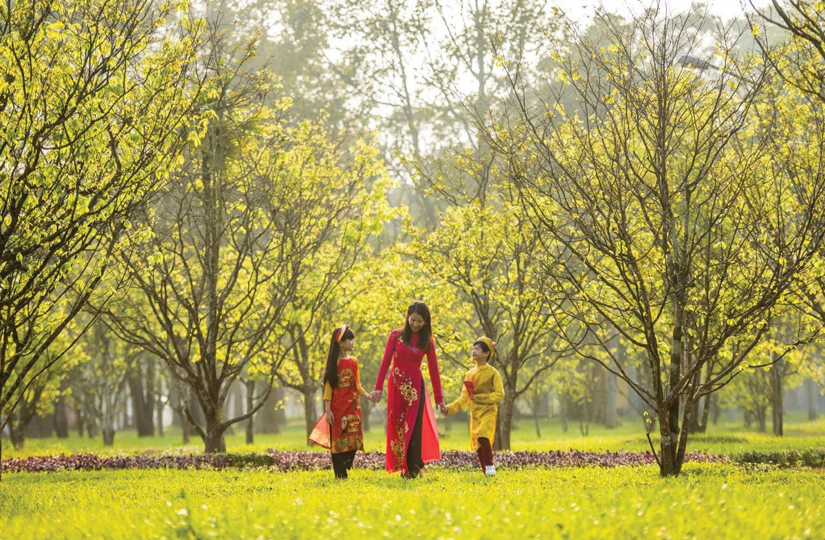 Đầu năm 2021, chính quyền Thừa Thiên - Huế phát động trồng "mai vàng trước ngõ", nhằm đưa tỉnh thành xứ sở mai vàng của cả nước, xây dựng Huế thành thành phố hoàng mai. Mai vàng, hay hoàng mai Huế được trồng từ lâu đời ở đất cố đô, mang đến vẻ đẹp cho cung đình, phủ đệ, cửa chùa, sân nhà người dân... Ảnh: Hoàng Hải.