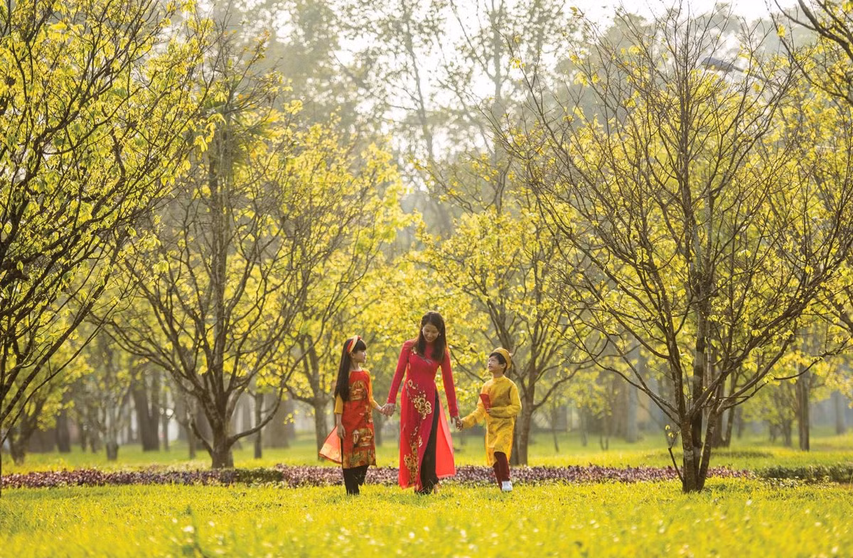 Đầu năm 2021, chính quyền Thừa Thiên - Huế phát động trồng "mai vàng trước ngõ", nhằm đưa tỉnh thành xứ sở mai vàng của cả nước, xây dựng Huế thành thành phố hoàng mai. Mai vàng, hay hoàng mai Huế được trồng từ lâu đời ở đất cố đô, mang đến vẻ đẹp cho cung đình, phủ đệ, cửa chùa, sân nhà người dân... Ảnh: Hoàng Hải.