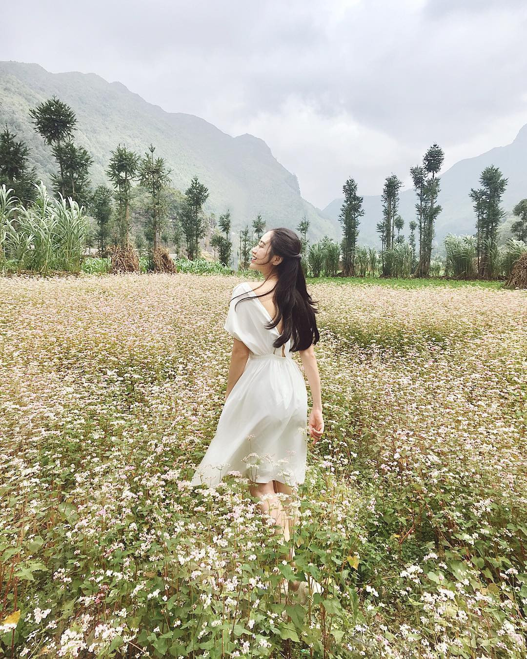 Hà Giang có Lễ hội Hoa tam giác mạch, trở thành thương hiệu du lịch của địa phương. Tam giác mạch phù hợp với điều kiện khí hậu, thổ nhưỡng vùng cao nguyên đá Hà Giang, vốn là loài cây được trồng từ lâu để làm lương thực, gắn bó với đồng bào địa phương, song lại mang vẻ đẹp độc đáo, thu hút du khách. Ảnh: Maivantrang.