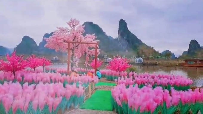 Nguoi dan ong nhan cai ket bat ngo khi xay dao de niu keo ban gai