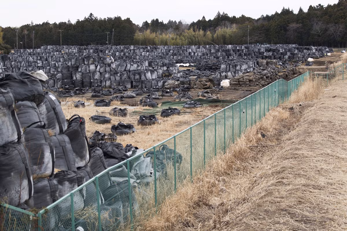 Nếu thảm họa hạt nhân không xảy ra, công viên sẽ là nơi người dân thị trấn tụ tập để tổ chức lễ hội hoa anh đào với các hoạt động dã ngoại, dạo bộ... Các quan chức địa phương muốn mở cửa trở lại một phần khu vực cấm vào năm 2023. Đó là những vùng được chỉ định làm điểm khôi phục kinh tế đặc biệt.