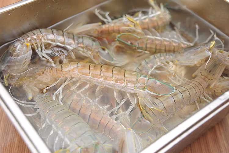 Tôm tít (hay còn gọi là bề bề) cũng là loại tôm sống ở tầng đáy.