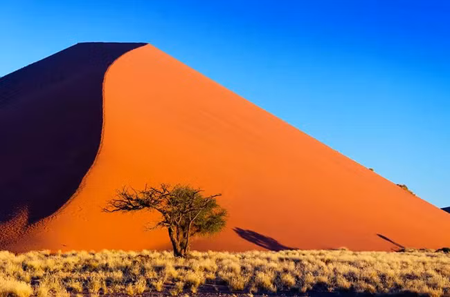 Sossusvlei: Nằm ở phía nam của sa mạc Namib ở Cộng hòa Namibia, Sossusvlei có rất nhiều cồn cát với kích thước đáng kinh ngạc và lộng lẫy như một giấc mơ.