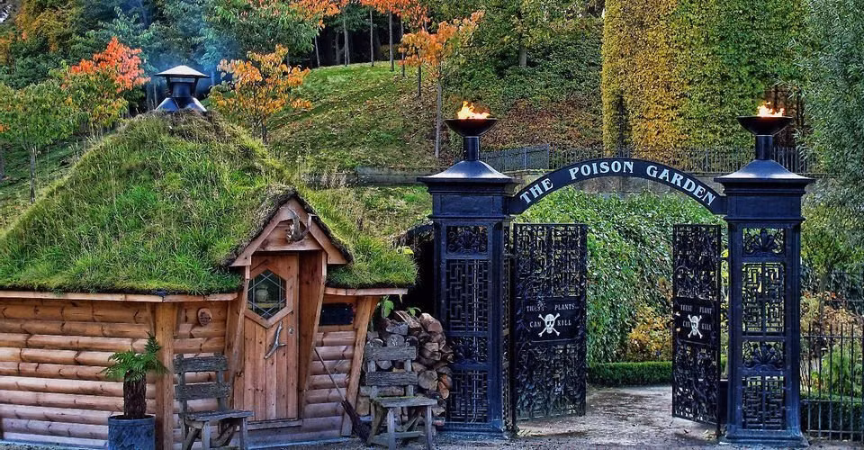  Khu vườn độc dược này luôn được khóa chặt này có tên là Vườn Độc dược Alnwick. Nếu đủ can đảm tới đây tham quan, du khách có thể khám phá những thông tin vô cùng thú vị. Ảnh: Vườn Độc dược Alnwick nằm trong khuôn viên lâu đài cung tên ở Northumbrian, Anh (Nguồn: The Travel).