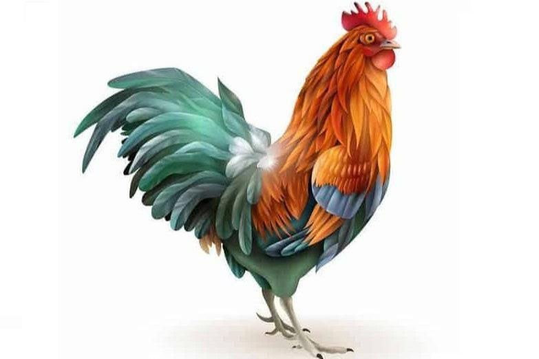 Thời gian tới, con giáp này còn có quý nhân trợ giúp nên sự nghiệp gặt hái được nhiều thành công tốt đẹp.