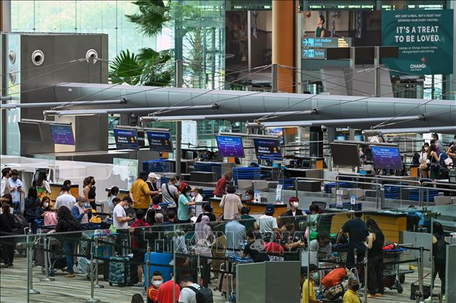 COVID-19 toi 6h sang 2/4: Han Quoc noi gian cach xa hoi-Hinh-7