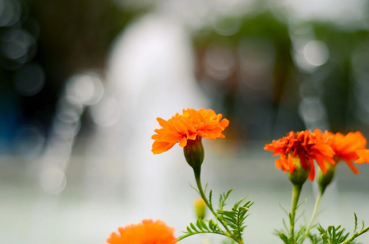 3 con giap cham chi lam an, thang 4 phat tai giau khung khiep-Hinh-2