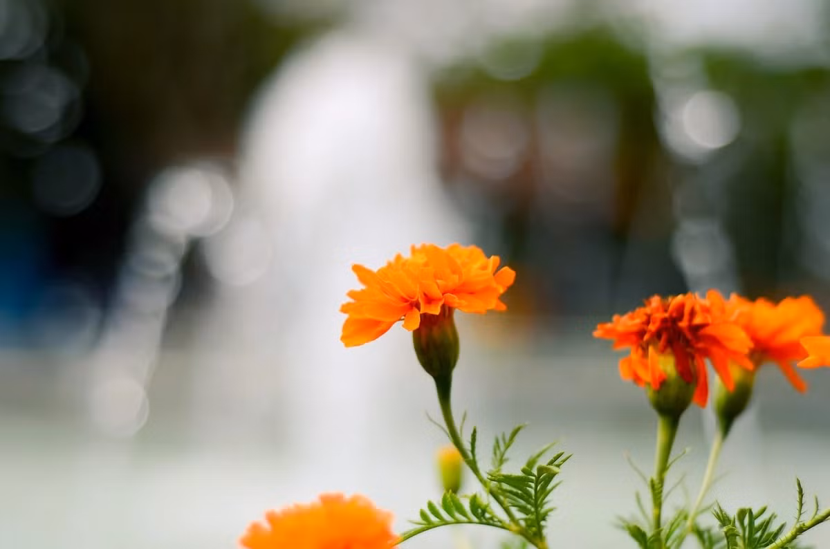 3 con giap cham chi lam an, thang 4 phat tai giau khung khiep-Hinh-2