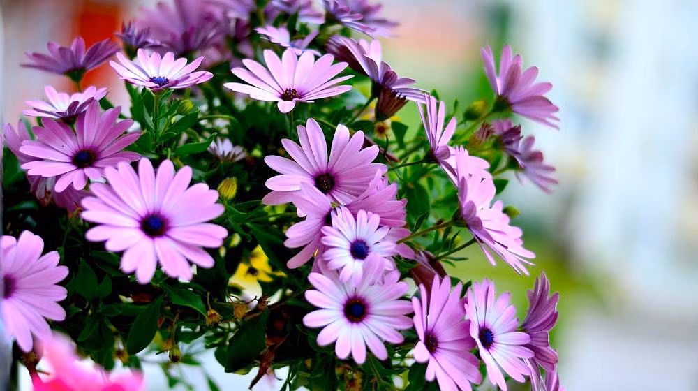 3 con giap cham chi lam an, thang 4 phat tai giau khung khiep