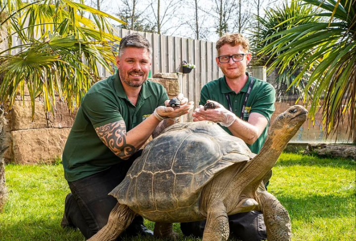 Rua khong lo Galapagos lam cha o tuoi 70