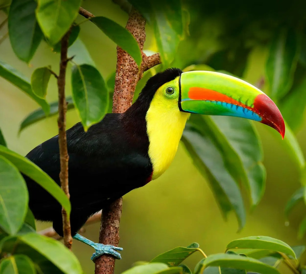 Người sinh vào 4 tháng Âm lịch này có số phú quý, bình yên - Hình 4 Nguoi sinh vao 4 thang Am lich nay co so phu quy, binh yen-Hinh-4