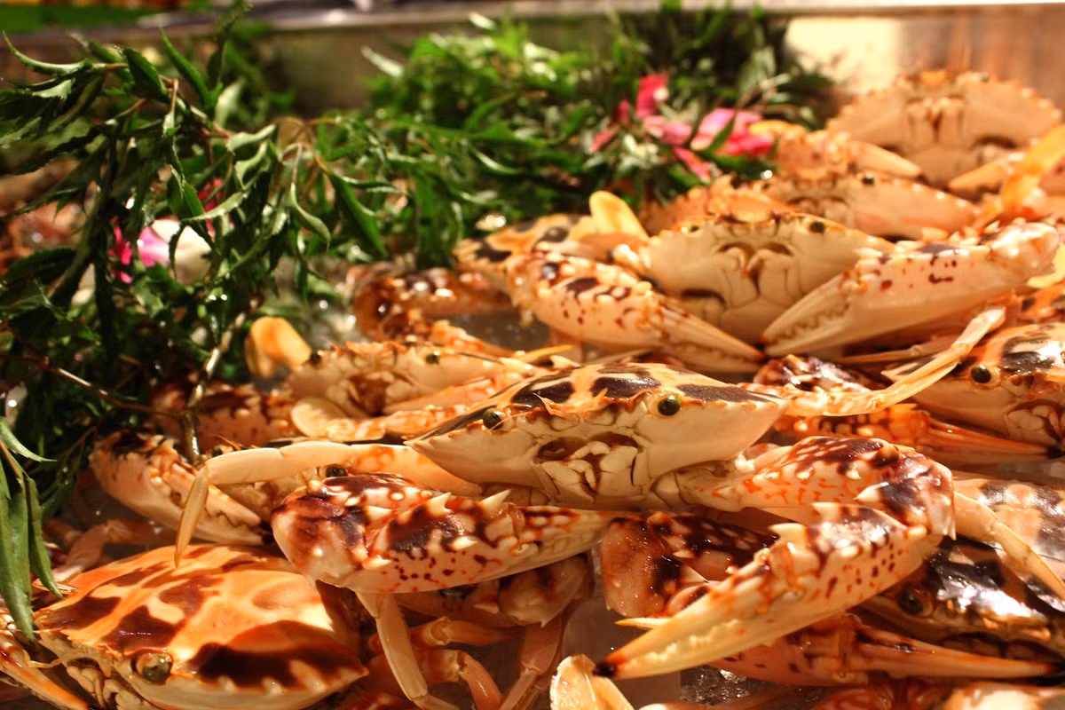 7 nha hang buffet tot nhat tai Ha Noi-Hinh-2