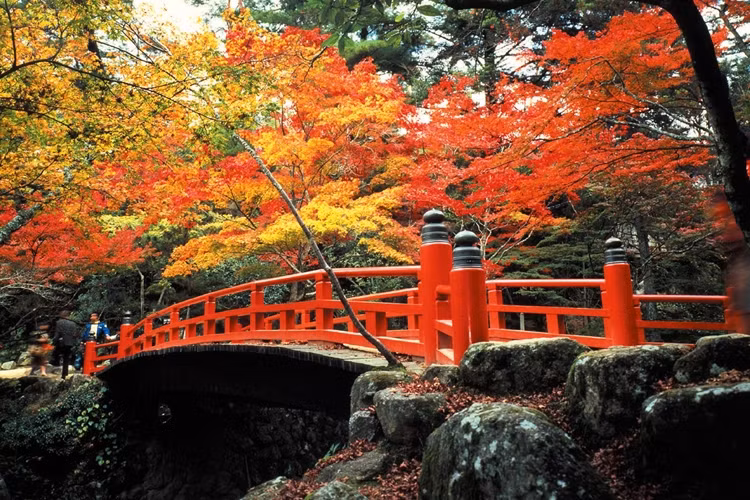  2. Thị trấn Miyajima, Nhật Bản: Biển là một phần của sự quyến rũ của Miyajima. Du khách cần đi theo con đường chính và bước lên một cầu thang dẫn đến ngôi chùa ở chân núi Misen danh lam thắng cảnh.