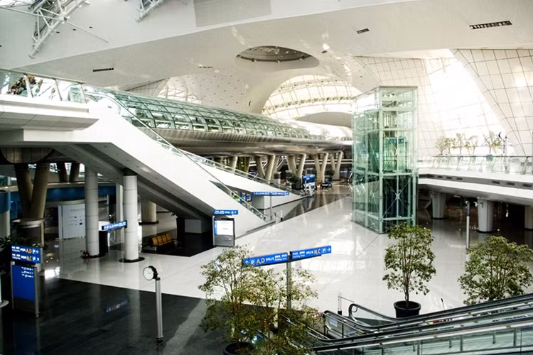 Cây xanh và hoa tươi là dịch vụ độc đáo dành cho du khách quá cảnh của sân bay Incheon hiện đại nhất Hàn Quốc.