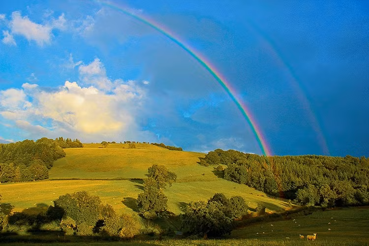 Phong cảnh đồng quê Châu Âu.