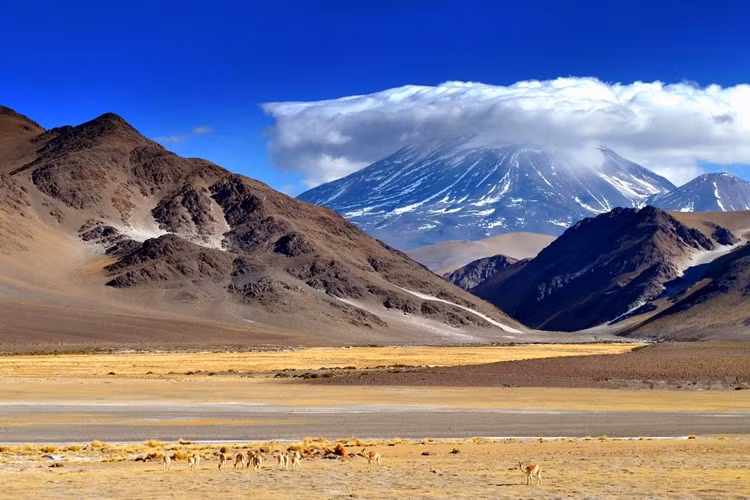 Một trong những cảnh đặc trưng của dãy núi Andes chạy dọc Nam Mỹ.