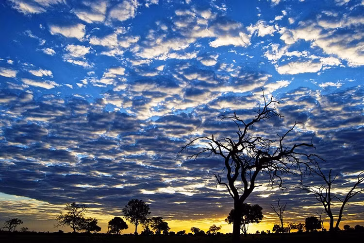 Mây lạ trên Công viên Quốc gia Hwange, Zimbabwe.