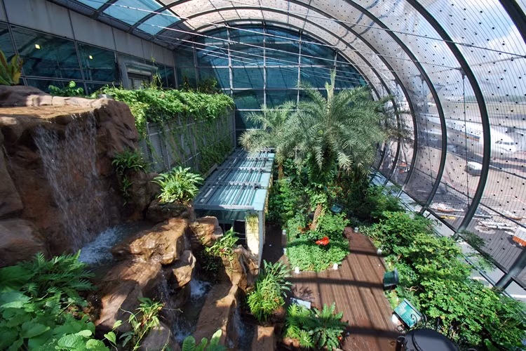 Sân bay quốc tế Changi của Singapore được biến thành một khu vườn lớn để hành khách thỏa thích chiêm ngưỡng, nếu không quá bận rộn với công việc mua sắm tại các cửa hàng miễn thuế.