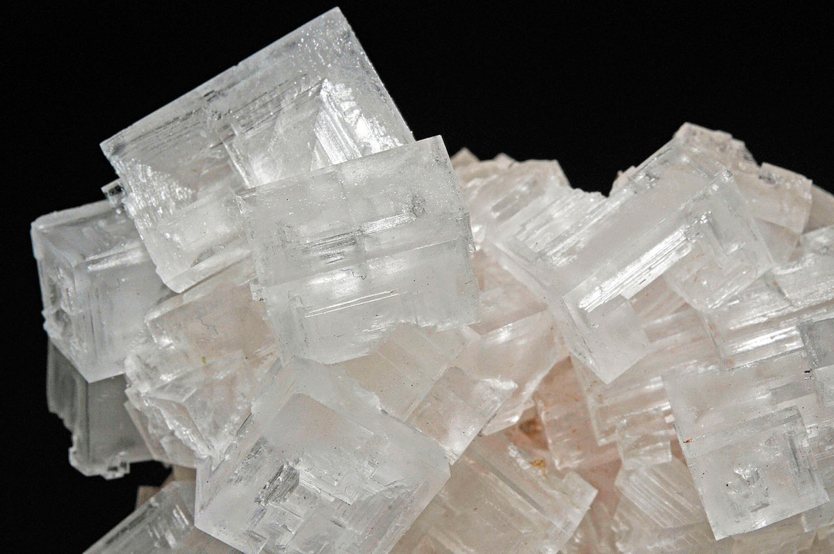 Muối mỏ hay muối thường (halite) là khoáng vật clorua natri, hình thành những thềm lớn do sự bốc hơi của nước biển. Chúng có thể có màu hoặc không màu.