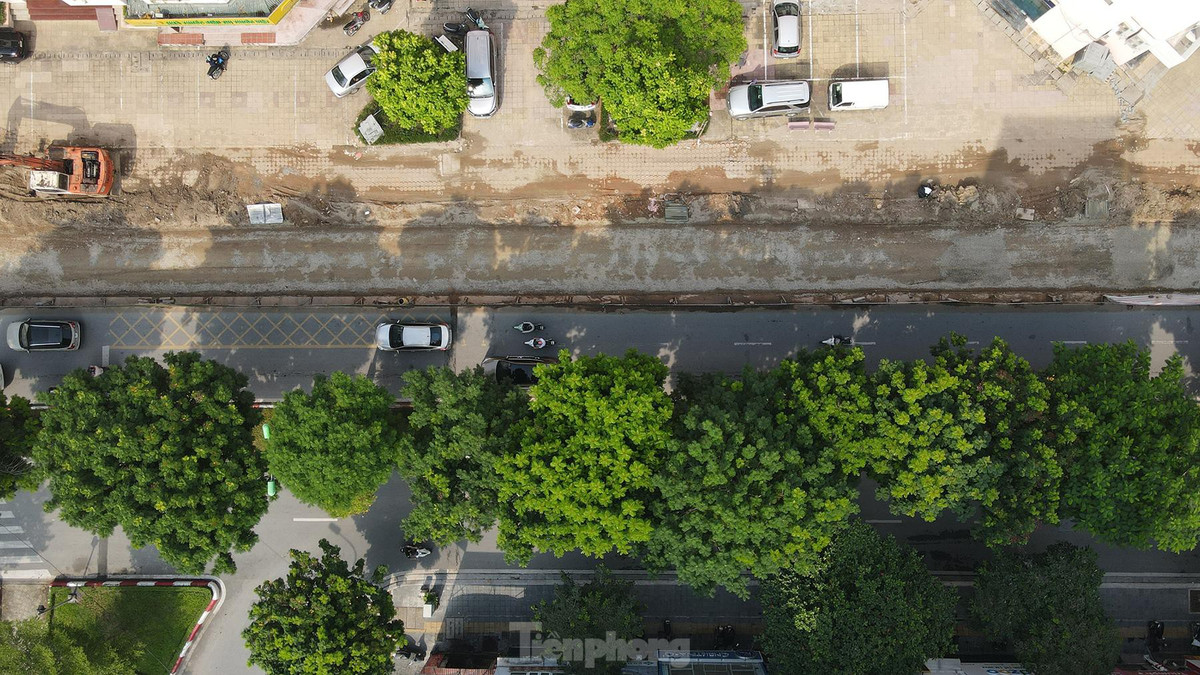 Hiện bề rộng của một chiều đường Trần Đăng Ninh hướng đi Nguyễn Phong Sắc còn 6 m để phân luồng cho các phương tiện qua lại.