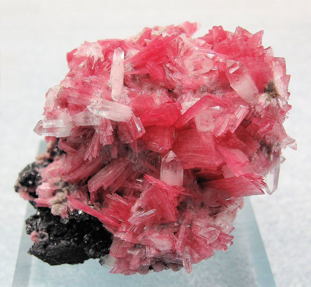 Rhodonite màu hồng và đỏ hồng là silicat canxi, mangan tồn tại dưới dạng tinh thể khối và hạt, là nguyên liệu phổ biến trong ngành chế tác đồ trang sức.