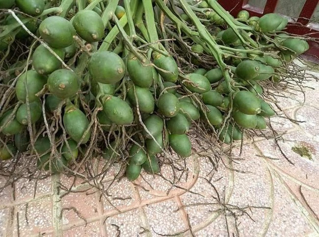 Loai qua o VN ban re nhu cho, ra nuoc ngoai ban 10 trieu dong/kg