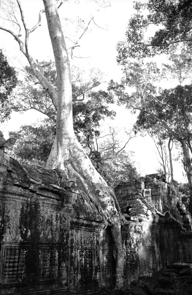 Một góc đền Ta Prohm, 1938. Đền Ta Prohm nằm ở phía Đông Angkor Thom, được xây vào cuối thế kỷ 12 và đầu thế kỷ 13.