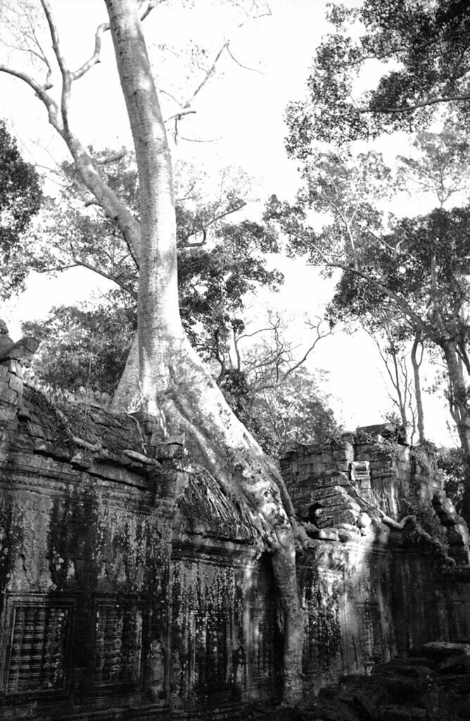Một góc đền Ta Prohm, 1938. Đền Ta Prohm nằm ở phía Đông Angkor Thom, được xây vào cuối thế kỷ 12 và đầu thế kỷ 13.
