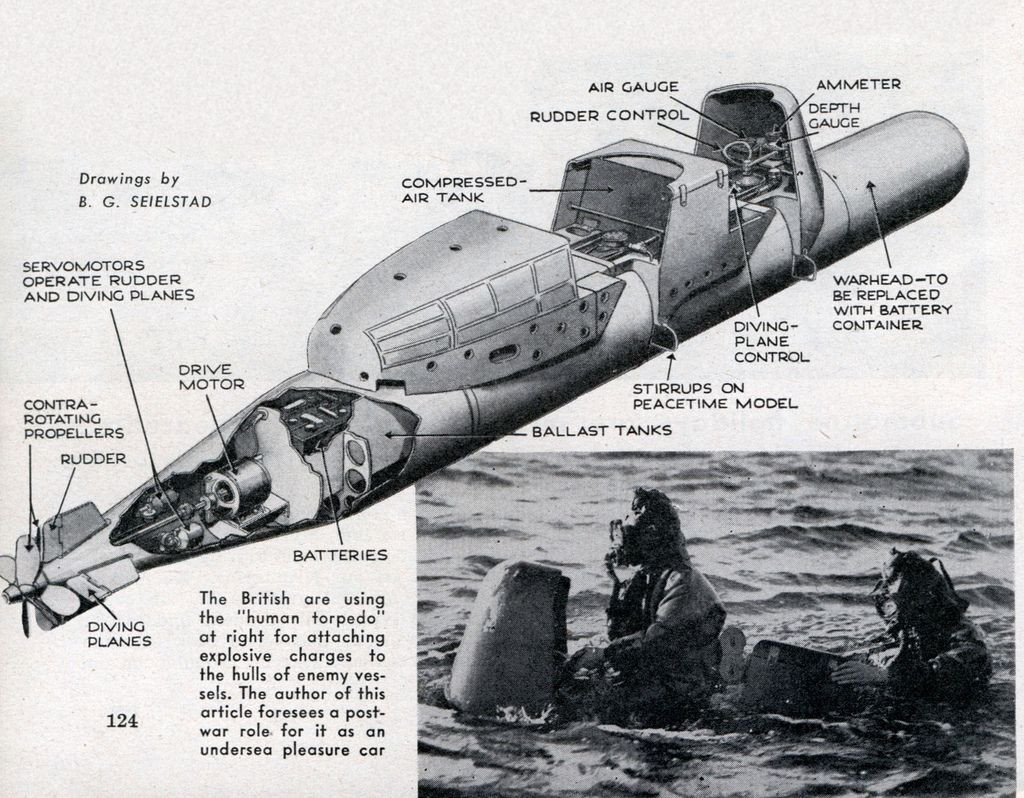 Chủ yếu được dùng để tấn công tàu của đối phương đang nằm trong cảng, ngư lôi Maiale cần có hai người điều khiển để đưa chúng đến gần mục tiêu. Người điều khiển sẽ mặc đồ lặn để lái ngư lôi dưới độ sâu 15 mét.