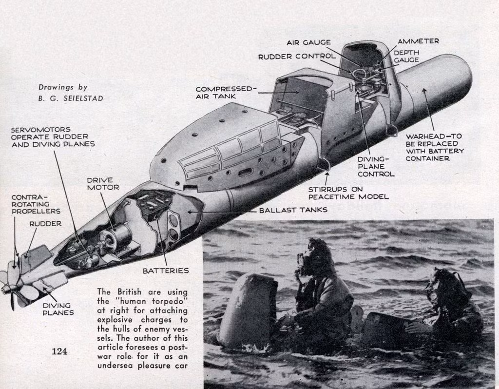 Chủ yếu được dùng để tấn công tàu của đối phương đang nằm trong cảng, ngư lôi Maiale cần có hai người điều khiển để đưa chúng đến gần mục tiêu. Người điều khiển sẽ mặc đồ lặn để lái ngư lôi dưới độ sâu 15 mét.