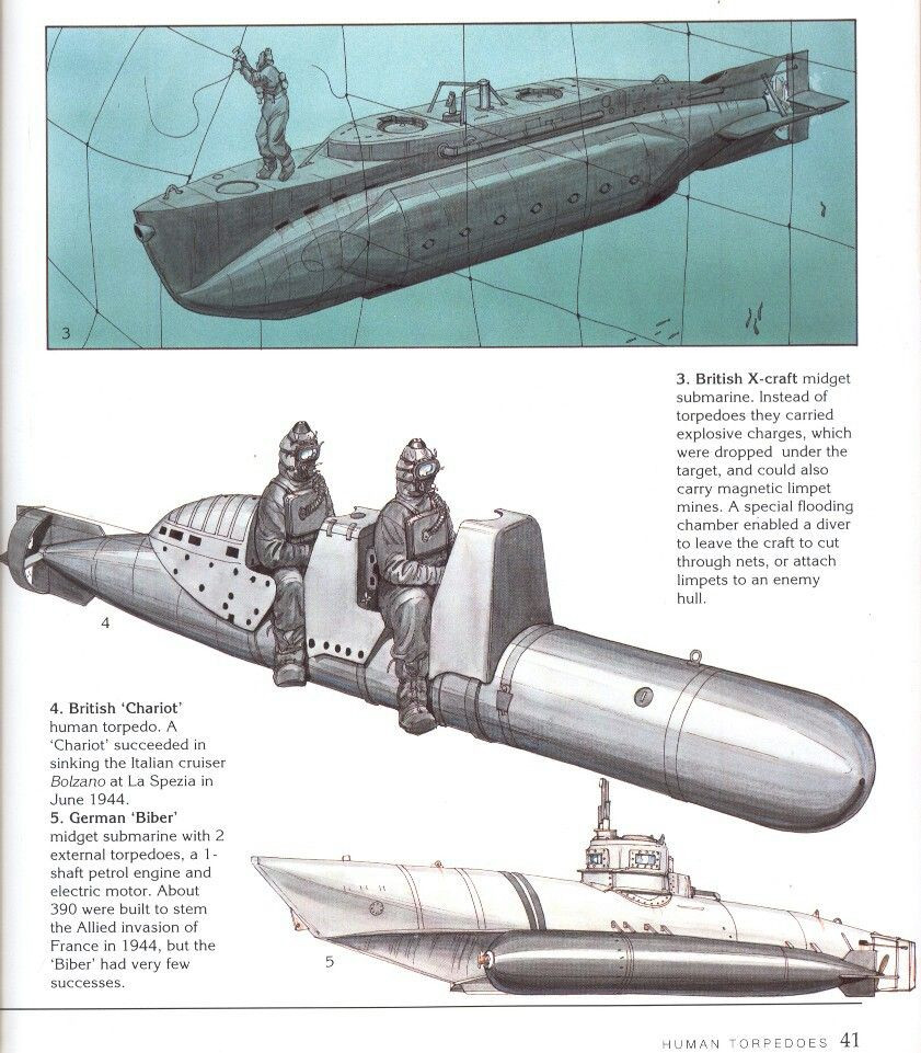 Nhược điểm của Maiale là rất khó điều khiển. Binh sĩ Italia thường ví việc lái nó khó như cưỡi một con lợn (Maiale nghĩa là “con lợn” trong tiếng Italia).