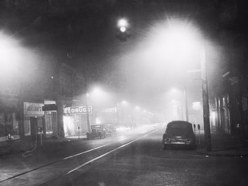 Vào ngày tháng 10/1948, một thảm họa môi trường đã xảy ra tại thị trấn Donora, bang Pennsylvania, Mỹ, khi một làn sương độc lan tỏa dẫn đến cái chết của hàng chục người.