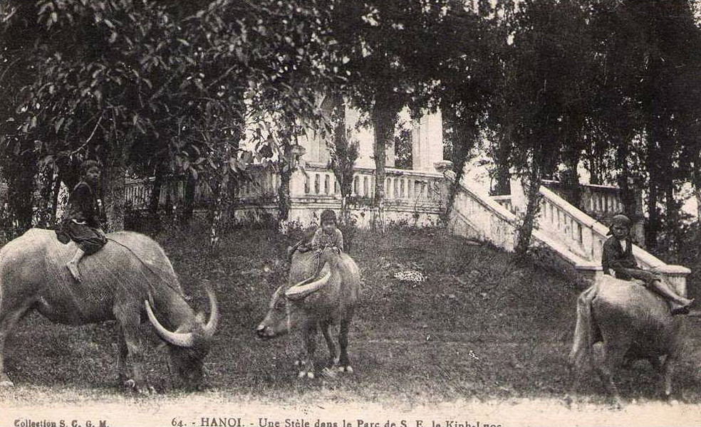 Trẻ chăn trâu bên nhà bia.