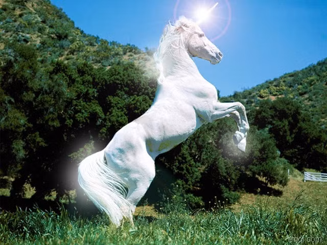 Người tuổi Ngọ nói chung không thích làm việc theo một thời gian biểu do người khác đặt ra. Họ thích làm những công việc có tính tự do và sôi động. Nếu bị bắt ép làm việc theo thời gian biểu, họ thường không đủ kiên nhẫn để tuân thủ quy trình đã đặt ra.