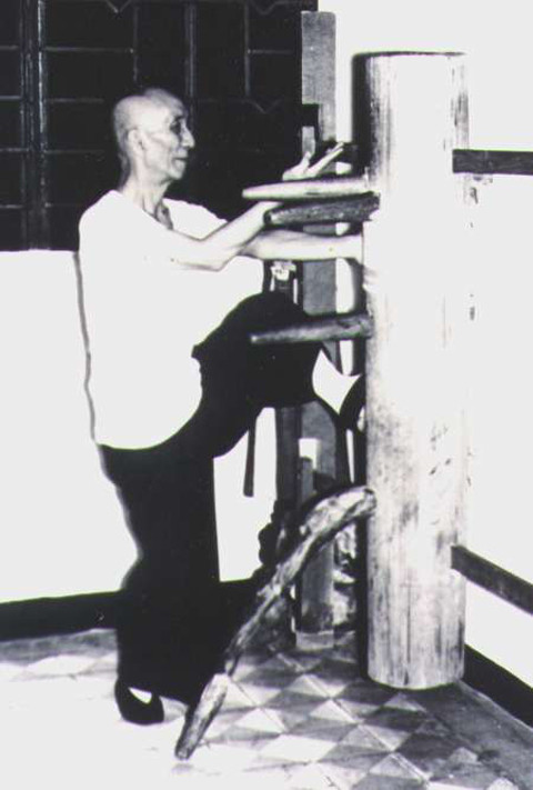 Thời gian gần đây cái tên Diệp Vấn được nhiều người biết đến sau thành công vang dội của bộ phim cùng tên do Chung Tử Đơn đóng. Nhưng Diệp Vấn ngoài đời vĩ đại hơn nhiều.