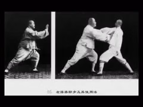 Dương Trừng Phủ để lại cuốn "Phương pháp sử dụng Thái Cực Quyền" và cuốn "Thái Cực Quyền thể dụng toàn thư". Hai cuốn sách này đúc kết kinh nghiệm cả đời tập luyện và dạy võ của ông và là tài liệu căn bản để phổ biến Thái Cực Dương thức sau này.