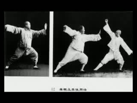 Ông là cháu nội Dương Lộ Thiền - người đặt nền móng đầu tiên cho hệ phái Thái Cực Quyền Dương thức.