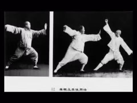 Ông là cháu nội Dương Lộ Thiền - người đặt nền móng đầu tiên cho hệ phái Thái Cực Quyền Dương thức.