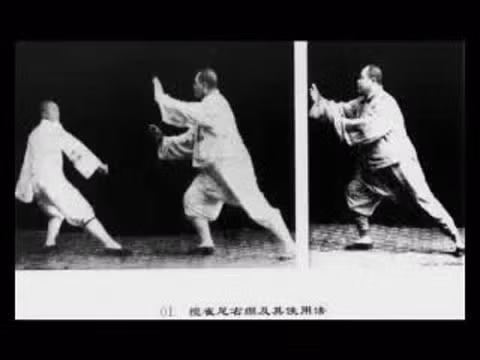 Môn Thái Cực Quyền ngày nay là một môn võ phổ biến và được cả người trẻ lẫn già ham thích luyện tập. Công lao phổ biến môn đó thuộc về vị danh sư tên là Dương Trừng Phủ.