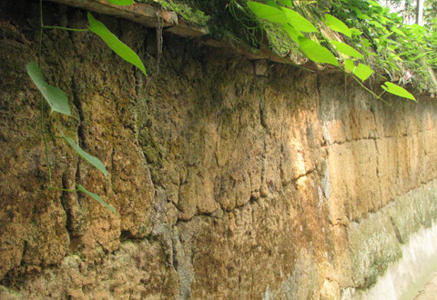 Cận cảnh tường đất.