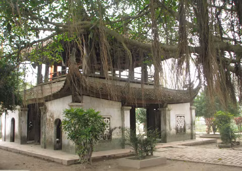 Phía trước chùa là gác chuông hình vuông 2 tầng 8 mái nằm dưới tán một cây đa cổ thụ với rễ phủ xuống càng làm tăng thêm vẻ cổ kính cho ngôi chùa.