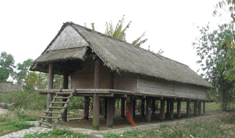 Hệ thống chịu lực chính cho cả căn nhà là hai hàng cột chạy dọc tòa nhà.