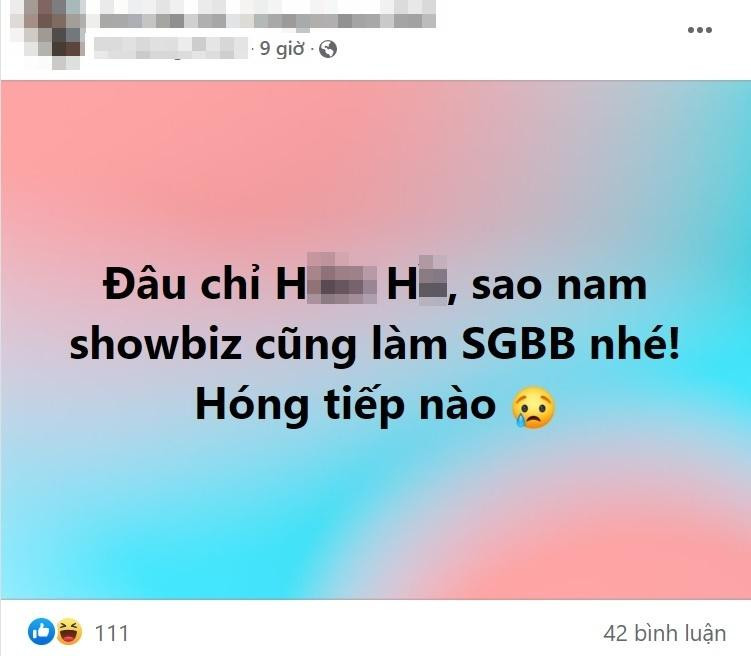 Soc: Showbiz Viet co phien ban nam cua ca si H.H?-Hinh-3