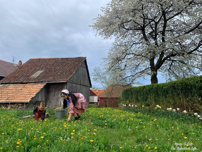 Nguoi tre suy nghi gi ve trao luu bo pho ve que, 'nuoi ca va trong them rau'?-Hinh-2