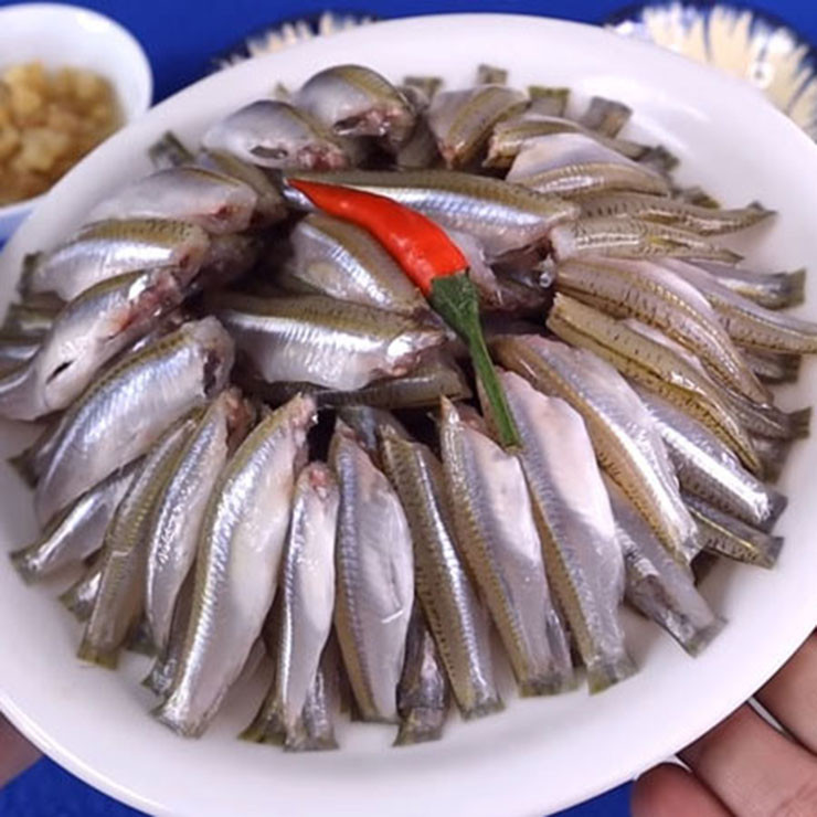 Đặc tính của cá lòng tong sống theo bầy đàn, ăn nổi trên mặt nước