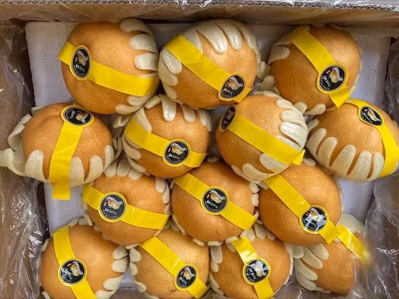 Giua luc cam, quyt tang gia, nhieu loai trai cay sang chanh re bat ngo-Hinh-3